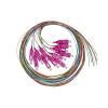 LINK SET 12 CAVI PIGTAIL FIBRA OTTICA COLORATI CONNETTORI SC OM4 SIMPLEX 2 MT