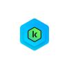 KASPERSKY STANDARD 1DEV 1Y ENVELOPE